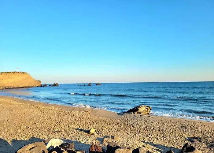 Bel Sur Le Port Avec Jardin